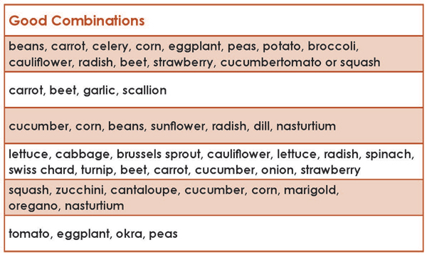 Good Crop Combinations