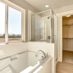 wildhorse-ranch-cwh-master-bath